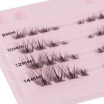 Cluster Eyelashes For Extension - Mari's Étoile Soraya FD76